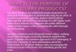 Purpose of ancillary products& what the audience expect to see