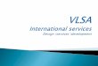 SMO services in chennai | Vlsa international services