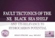 Fault Tectonics of the NE Black Sea Shelf and Its Relevance to Hydrocarbon Potential