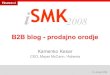 B2B blog by Kamenko Kesar