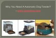 Why you need a Automatic Dog Feeder