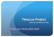 Timucua Ideas for Oil Pastels