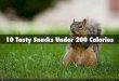Leyla Eraybar - 10 Tasty Snacks Under 200 Calories