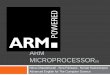 ARM microprocessor(s)
