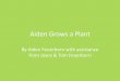 Aiden grows a plant