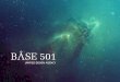 Base 501 branding profile