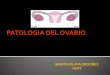 Patología Ovarica