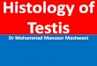 Histology of Testis by Dr Mohammad Manzoor Mashwani