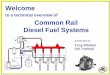 Common rail diesel fuel systems