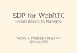SDP for WebRTC - From Basics to Maniacs -