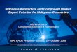 Indonesia Automotive and Component Market