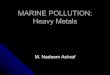 2 pollution (heavy metals)w