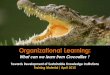 Organisational Learning: What Can We Learn From Crocodiles?