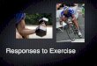 Responses to exercise