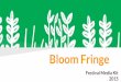 Bloom Fringe Festival Dublin 2015 - All you need to know