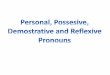 Pronouns (personal, possesive, demostrative, reflexive)