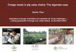 Forage needs in pig value chains: The Ugandan case