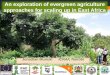 An exploration of evergreen agriculture approaches for scaling up in East Africa