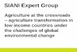 SIANI Expert Group: Agriculture Transformation in Low-Income Countries