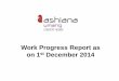 Ashiana Umang Work progress report- Nov' 14