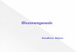 GLUCONEOGENESIS & ITS REGULATION