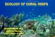 Coral ecology ppt