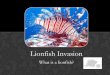 Envs presentation lionfish invasion