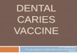 Caries Vaccine ppt