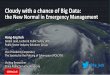 Cloudy with a chance of Big Data: the New Normal in Emergency Management