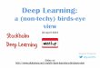 Deep Learning: a birds eye view