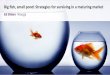 Bid Fish, small pond - strategies for surviving in a maturing market