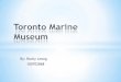 Rocky's toronto marine museum