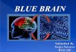 Blue brain
