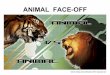 Animal faceoff slideshow