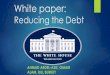 White Paper for the White House - Reducing the Debt