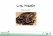 Added value of using d2w and d2p in Cocoa production value chain