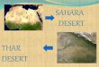 SAHARA DESERT VS THAR DESERT