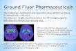 Ground Flour Pharma final NSF I-Corps presentation