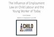 The influence of employment law on child labour power point (1)