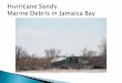 Hurricane sandy leaves Marine Debris throughout Jamaica Bay