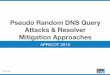Pseudo Random DNS Query Attacks and Resolver Mitigation Approaches