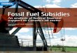 Fossil fuel-subsidies