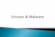 Viruses & Malware
