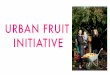 Urban Fruit Initiative – Peloton Smart Retro Testing Phase Pitch