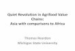 Quiet revolution in agrifood value chains: Asia with comparisons to Africa