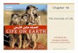 Chapter 16 biodiversity  [compatibility mode]