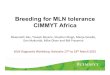 MLN Workshop: Breeding for maize lethal necrosis -- B Das