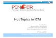 PINCER - Hot Topics