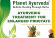 Prostate - Ayurvedic Treatment For Enlarged Gland