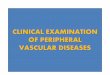 Clinical examination peripheral vascular disease